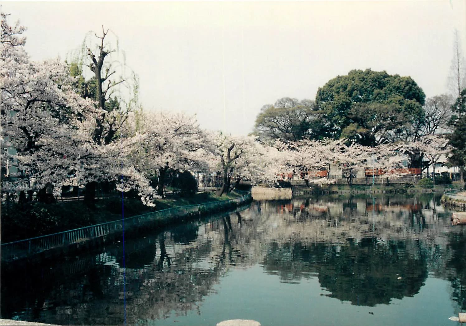 Shōwachō Area Guide