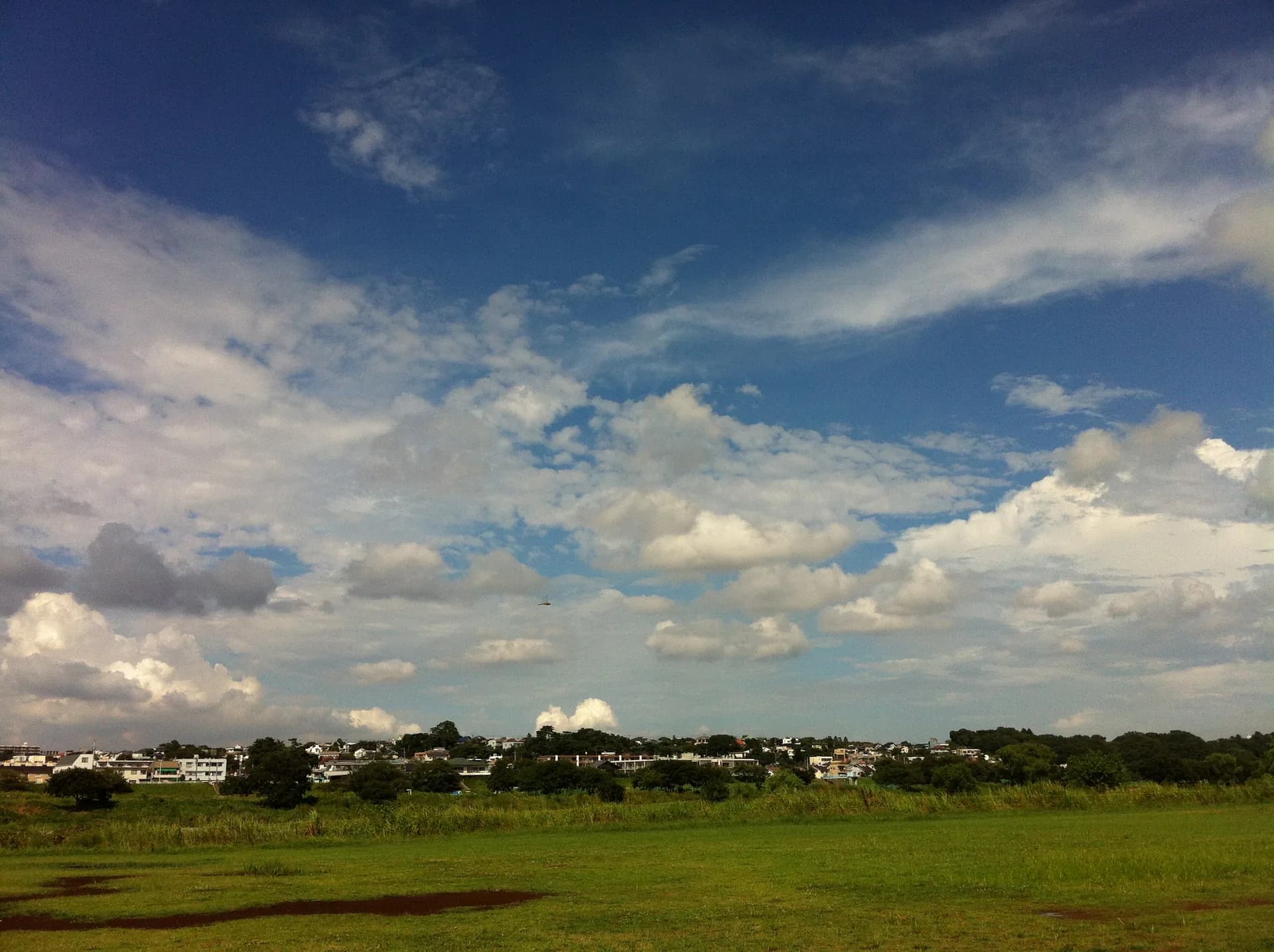 Futako-Tamagawa Area Guide