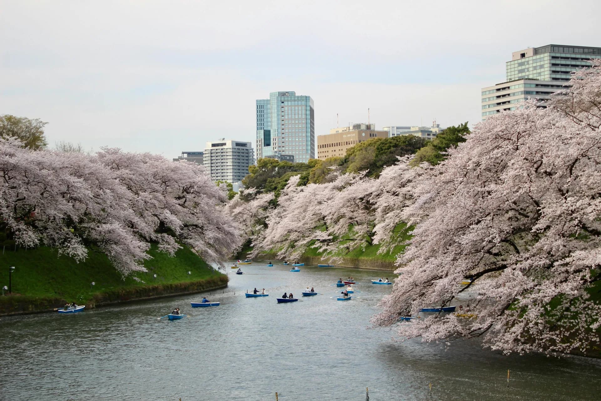 Chiyoda-ku Area Guide