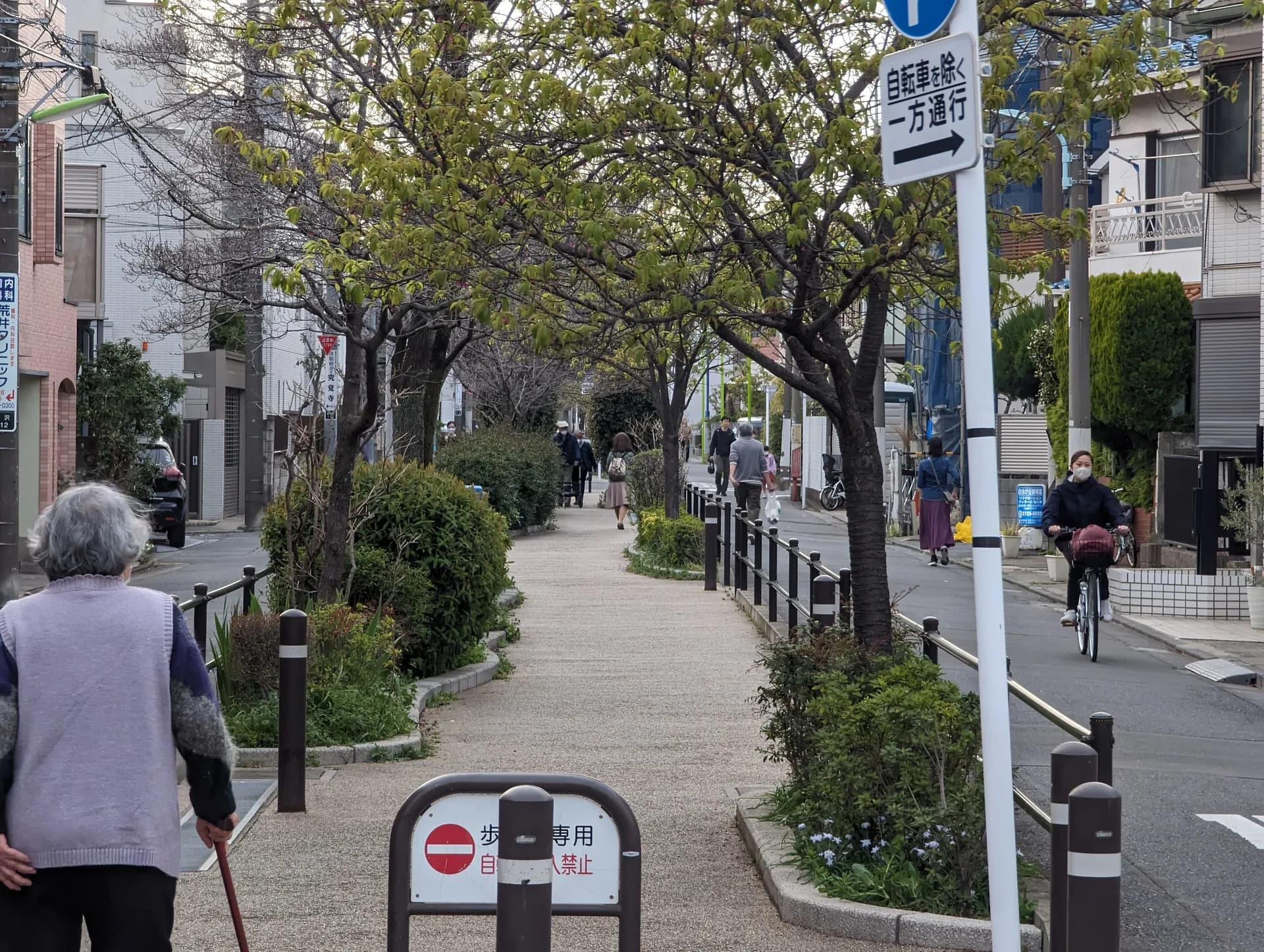 Okusawa Area Guide