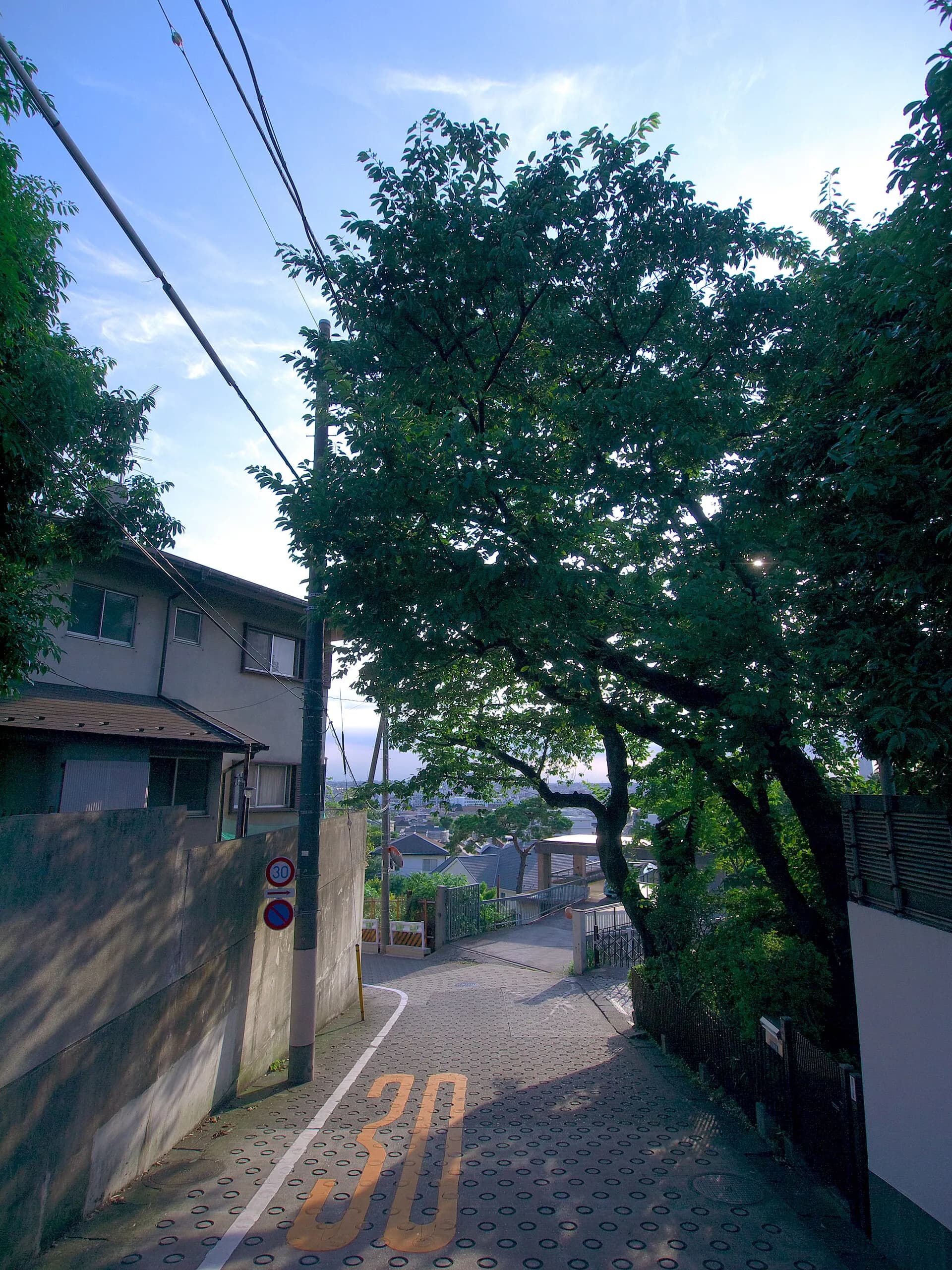 Den-en-chōfu Area Guide