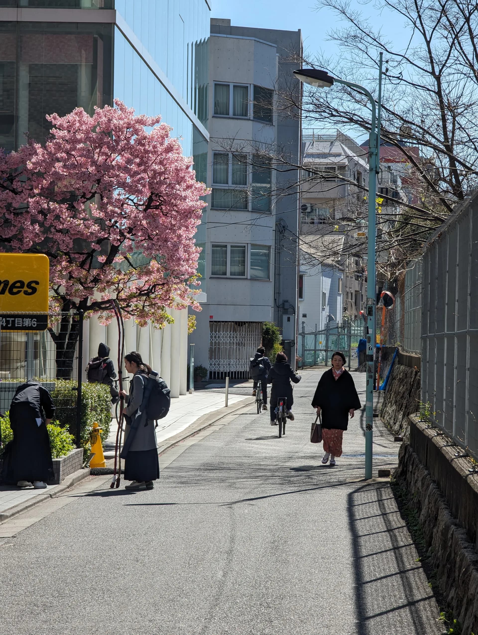 Shoto Area Guide