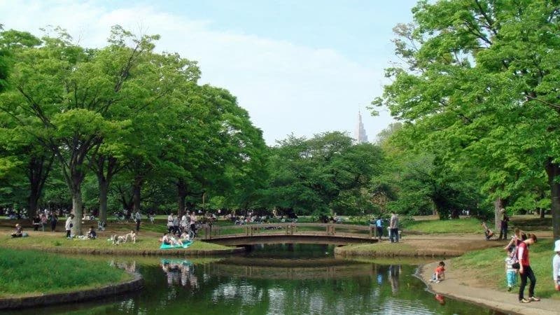 Yoyogi-Hachiman Area Guide