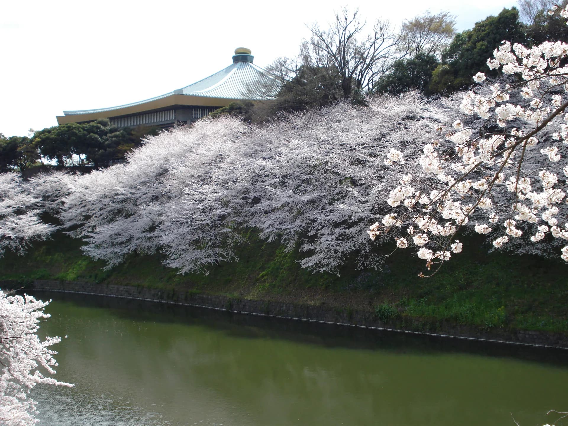 Kudan Area Guide
