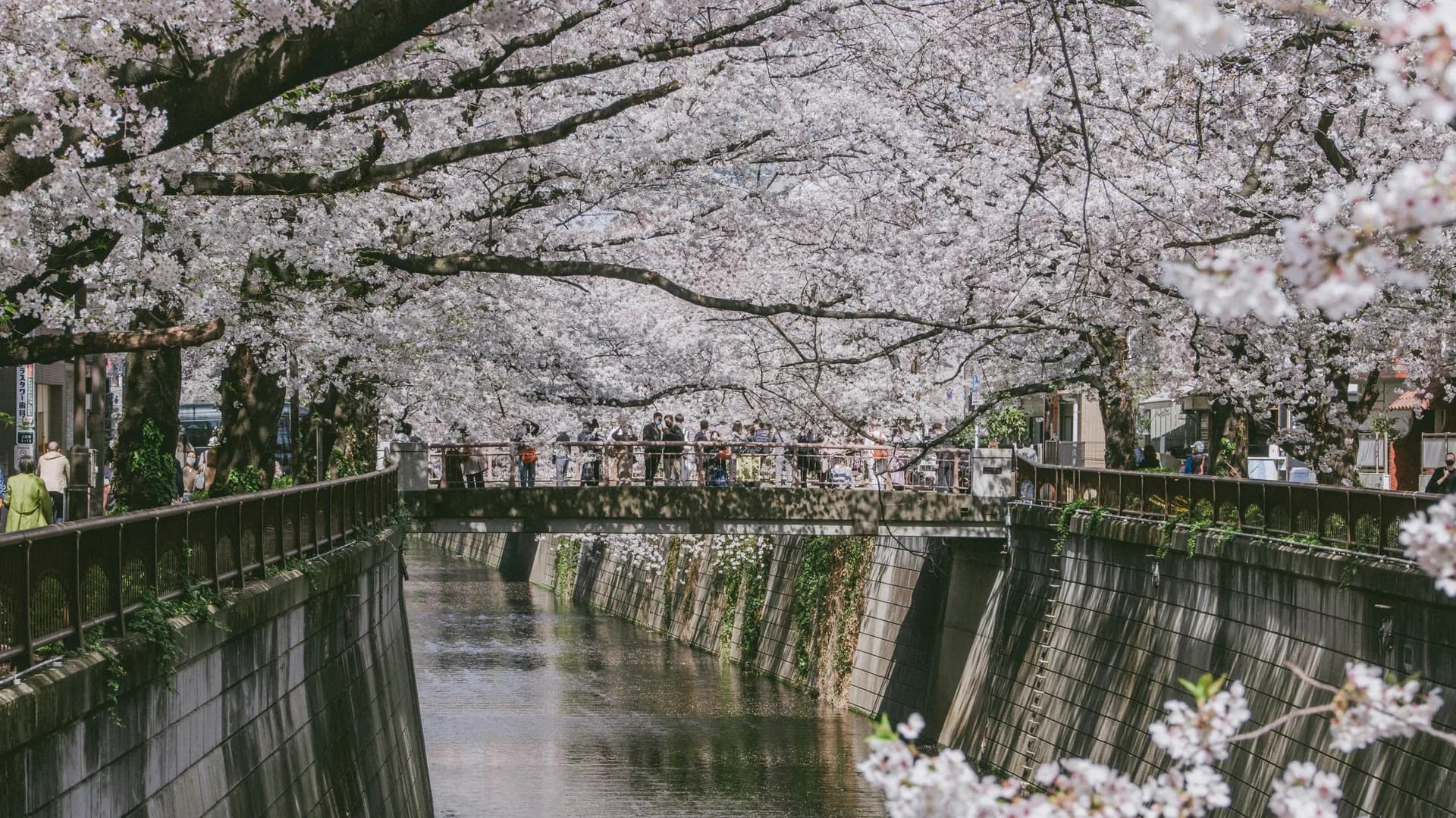 Meguro-ku Area Guide
