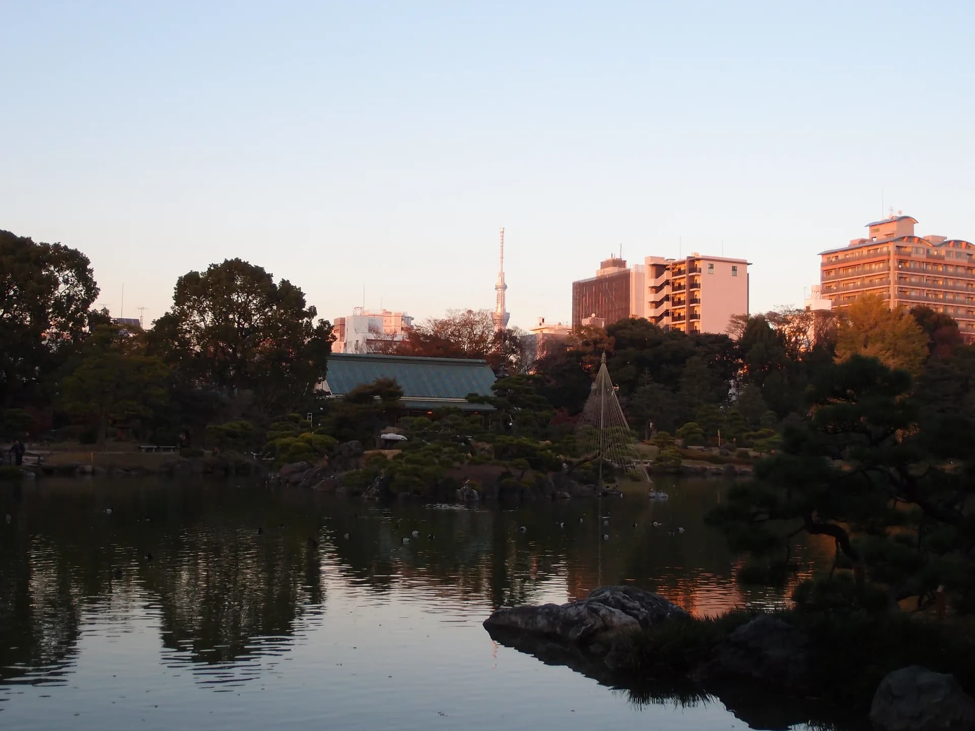 Kiyosumi-Shirakawa Area Guide
