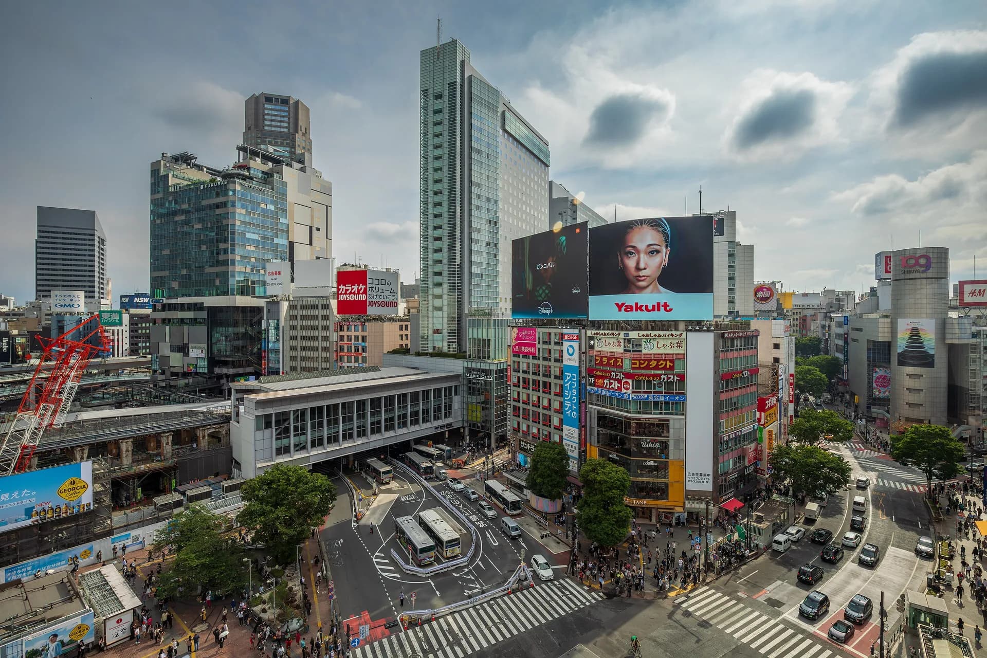 Shibuya Area Guide