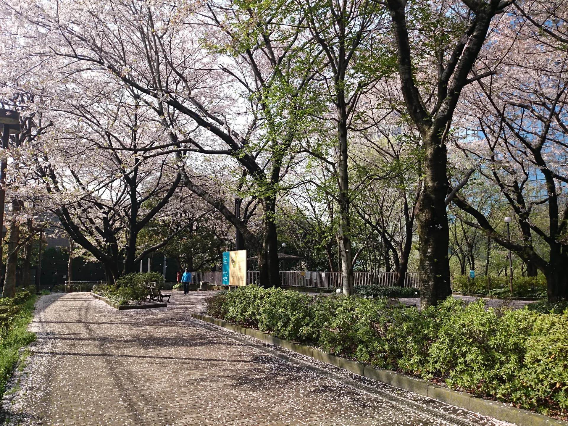 Gotenyama Area Guide