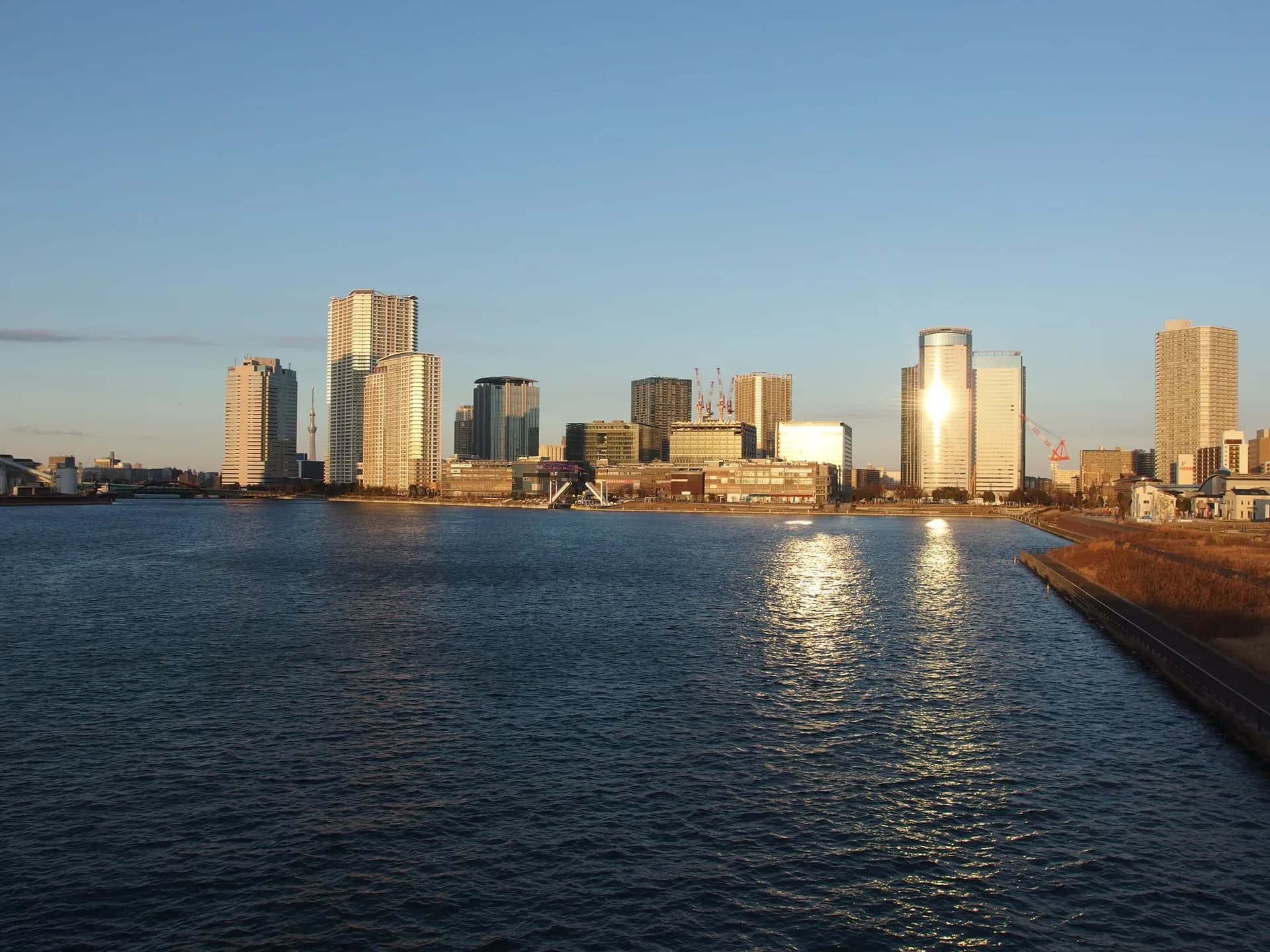 Toyosu Area Guide