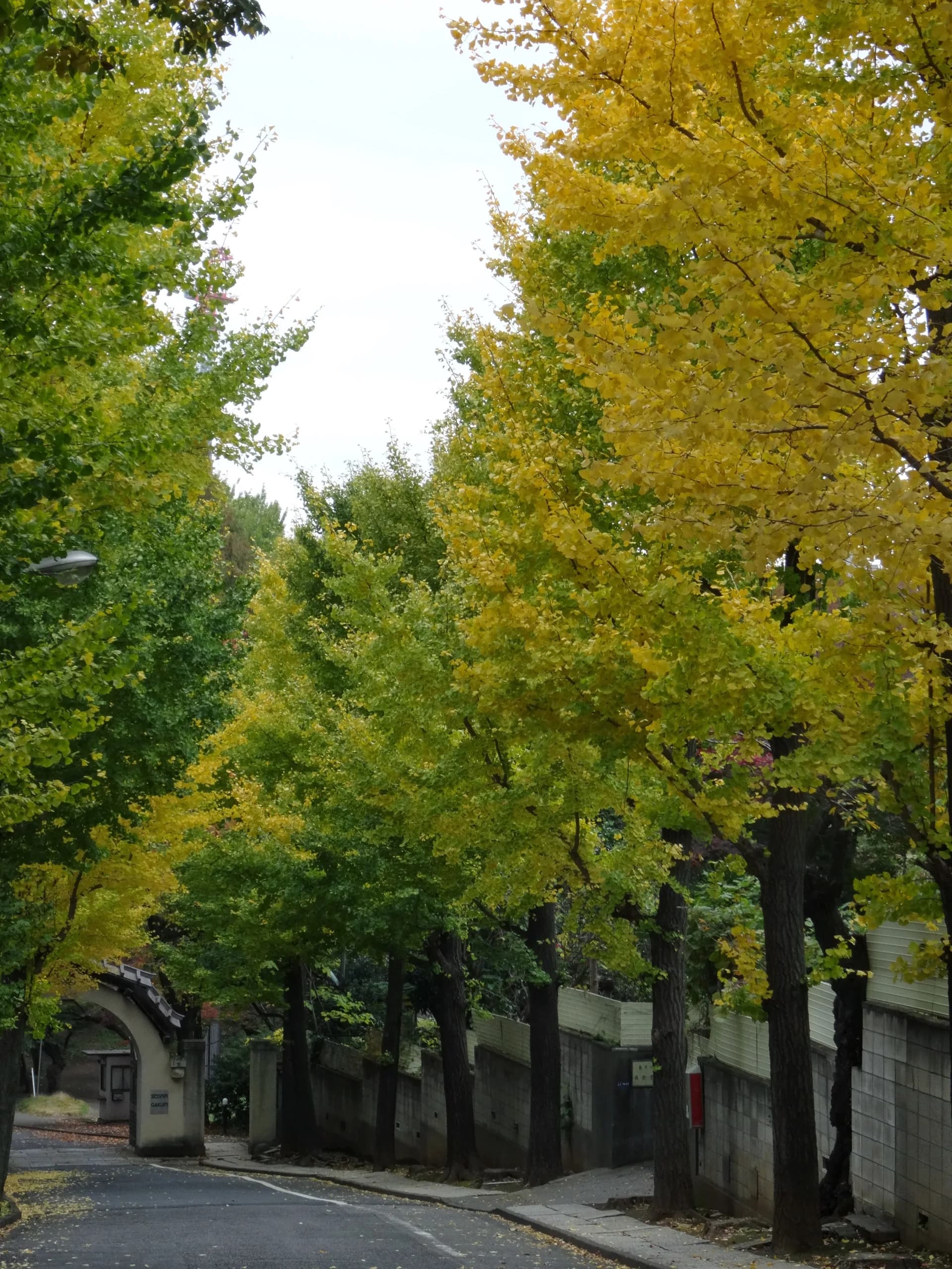 Shirokane Area Guide