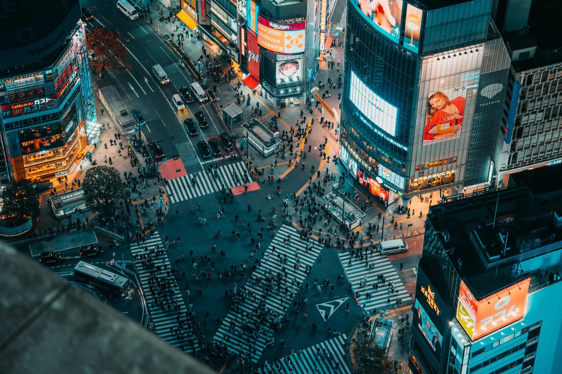 Shibuya-ku Area Guide