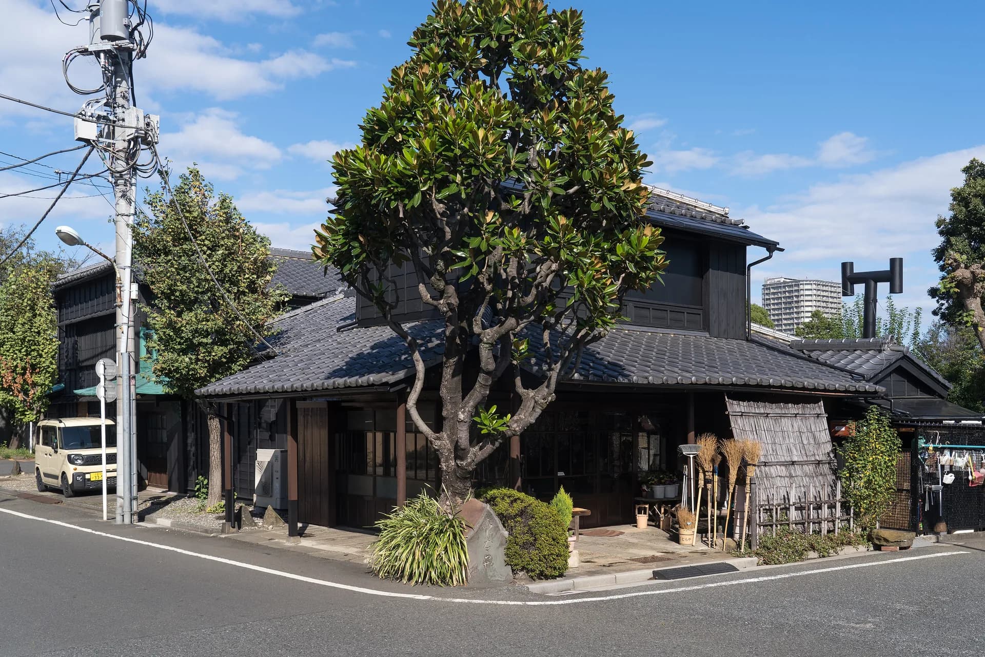 Yanaka Area Guide