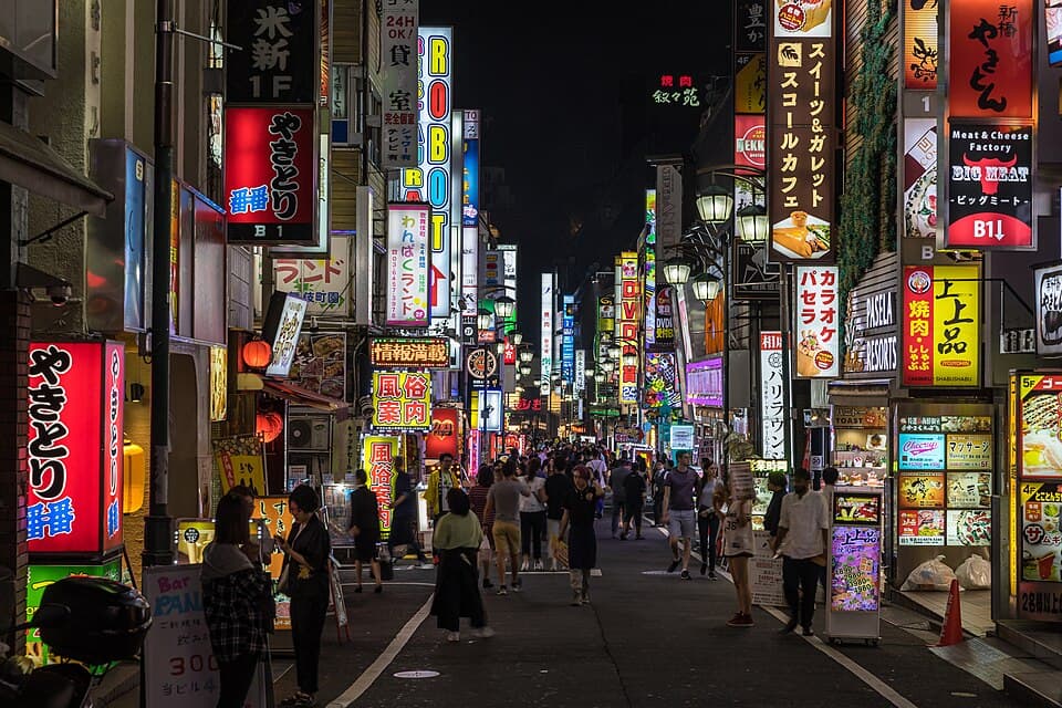 Shinjuku-ku Area Guide