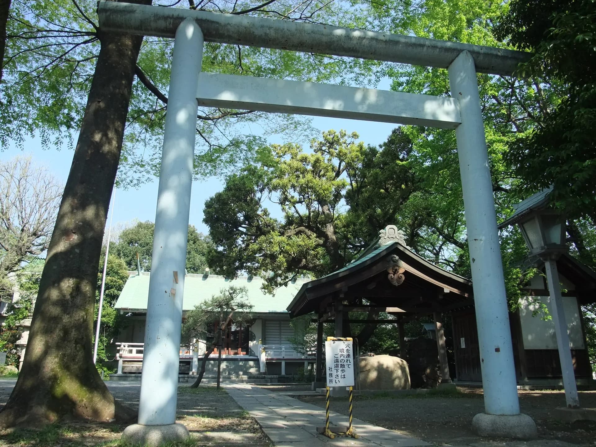 Fukasawa Area Guide